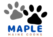 Maple Maine Coons